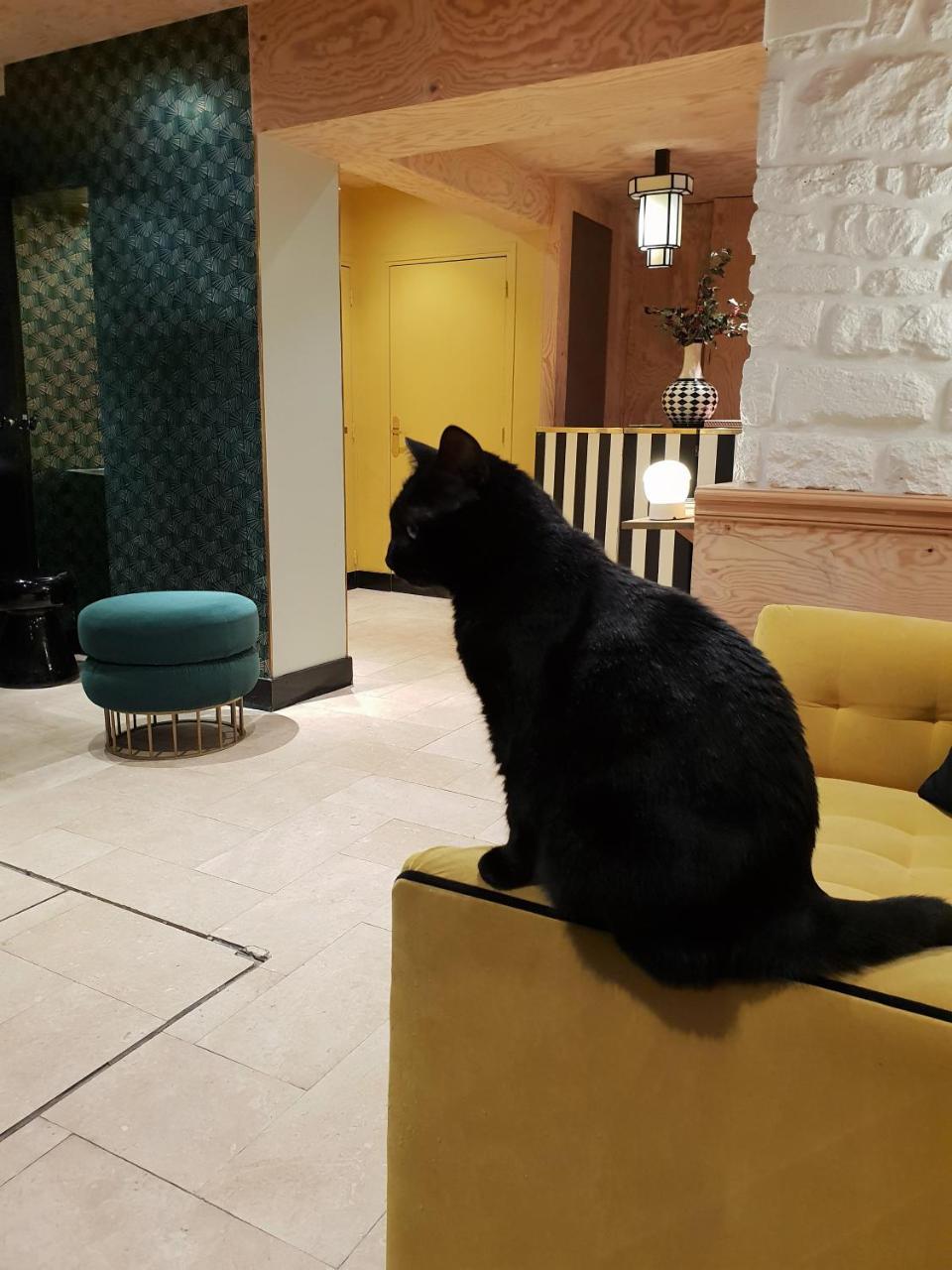 Hotel Denfert-Montparnasse Paryż Zewnętrze zdjęcie